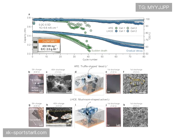 博努奇与马蒂斯防线集中度差异及其体系驱动机制